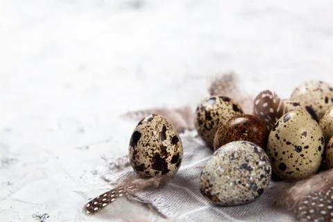 Pile of Easter quail eggs on gray fabric rag on concrete background Stock-Fotos