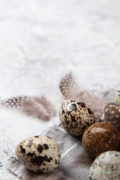 Pile of Easter quail eggs on gray fabric rag on concrete background Stock-Fotos