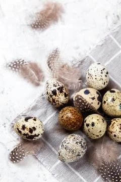 Pile of Easter quail eggs on gray fabric rag on concrete background Stock Photos