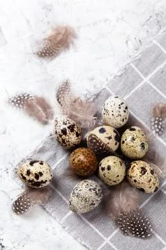 Pile of Easter quail eggs on gray fabric rag on concrete background Stock-Fotos