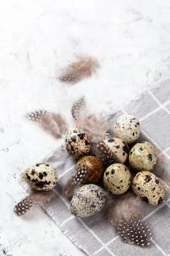 Pile of Easter quail eggs on gray fabric rag on concrete background Stock-Fotos