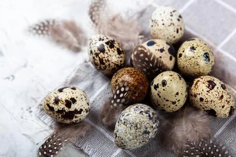 Pile of Easter quail eggs on gray fabric rag on concrete background Stock Photos