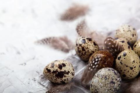 Pile of Easter quail eggs on gray fabric rag on concrete background Stock Photos