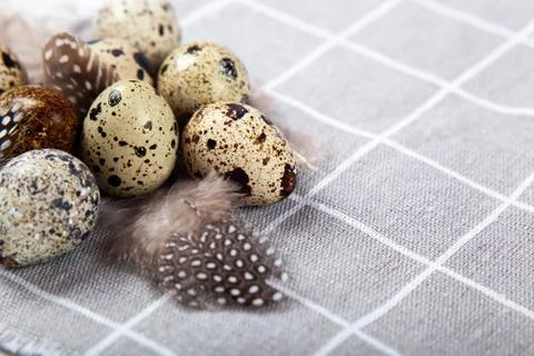 Pile of Easter quail eggs on gray fabric rag on concrete background Foto stock