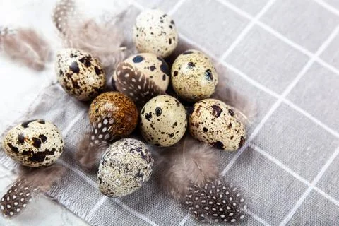 Pile of Easter quail eggs on gray fabric rag on concrete background Stock-Fotos
