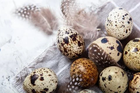 Pile of Easter quail eggs on gray fabric rag on concrete background 스톡 사진