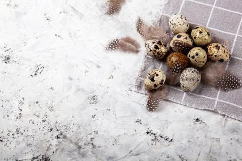 Pile of Easter quail eggs on gray fabric rag on concrete background Stock Photos