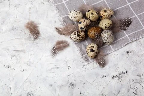Pile of Easter quail eggs on gray fabric rag on concrete background Foto stock