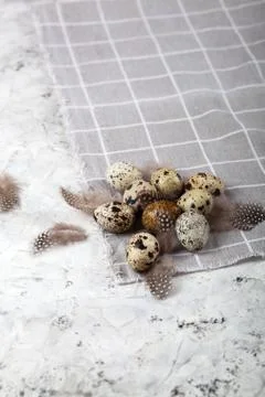 Pile of Easter quail eggs on gray fabric rag on concrete background Foto stock