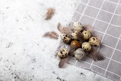 Pile of Easter quail eggs on gray fabric rag on concrete background Foto stock