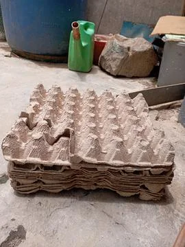 Pile of egg nests Stock Photos