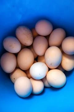 Pile of eggs on blue background Stock Photos