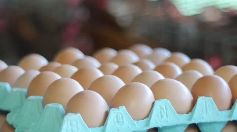 Pile of eggs in the henhouse 库存影片 62539291