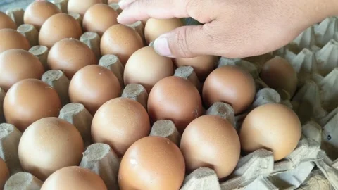 Pile of eggs in the nest Stock Footage 302988301