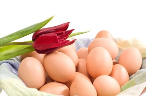 Pile of eggs in shell and one red tulip Stock Photos