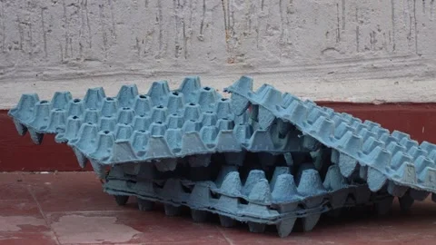 Pile of eggs trays thrown outside Stock Footage 258441937