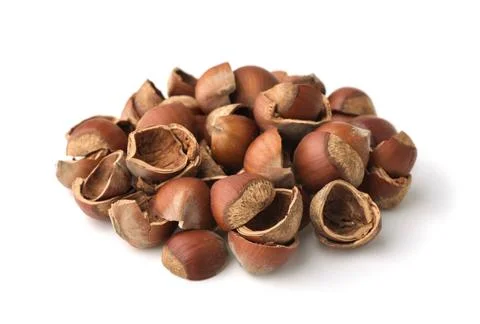 Pile of empty cracked hazelnut shells Pile of empty cracked hazelnut shell... 写真素材