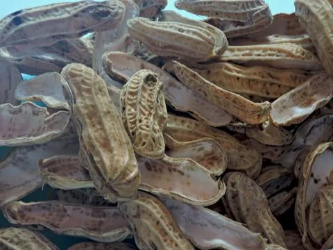Pile of Empty Peanut Shells - Close-Up Foto stock