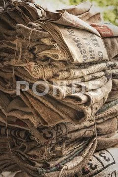 A Pile Of Empty Stamped Hessian Sacks Bundled Up For Reuse Or Recycling, In A