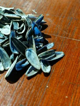 Pile of Empty Sunflower Seed Shells on Wooden Table Surface Foto stock