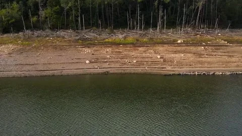 Pile Of Fallen Tree Trunks At The Forest Near Tanguil Lake In Lago Stock Footage 236643149