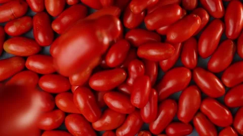 Pile of falling tomatoes in slow motion Video stock 256477396