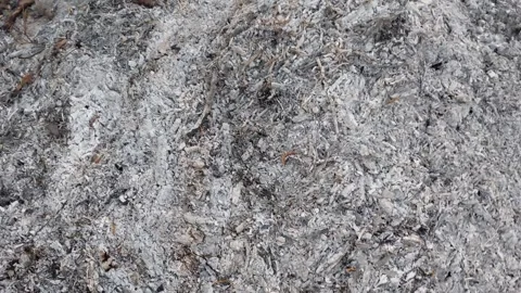 Pile of fine gray ash Stock Footage 260862501