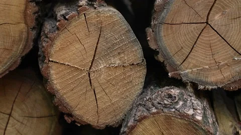 Pile of Firewood 22 Stock Footage 204887308