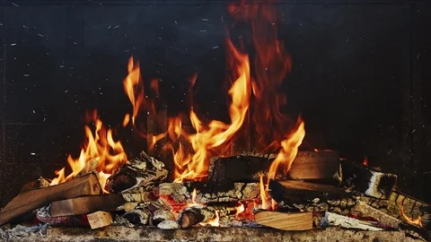 Pile Of Firewood Burning Loop Stock Footage 116000342