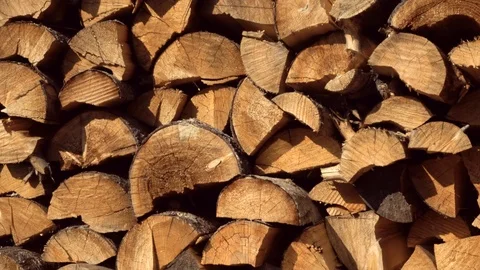 Pile of firewood. Stock Footage 92348934