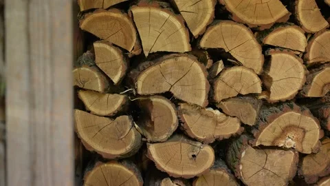 Pile of Firewood  Stock Footage 204886183