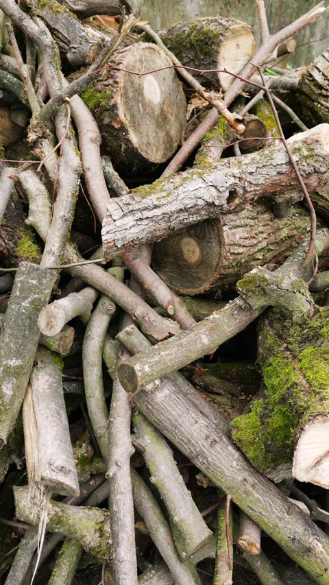 	Pile of firewood logs and branches stacked in the backyard.  Stock Footage 340534166