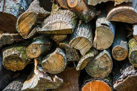 Pile of firewood Stock Photos