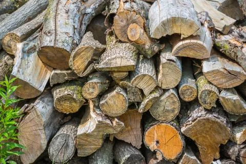 Pile of firewood Stock Photos