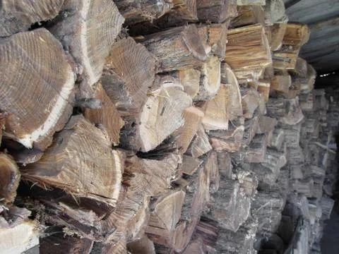 Pile of firewood Stock Photos