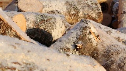 Pile of firewood in winter Stock Footage 84778427