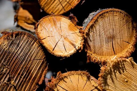 Pile of firewoods in focus Stock Photos