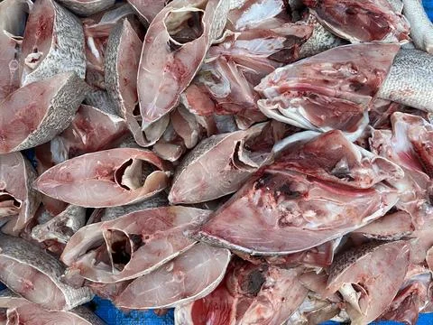 Pile of fish Stock-Fotos