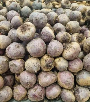 Pile of fresh beets Stock Photos