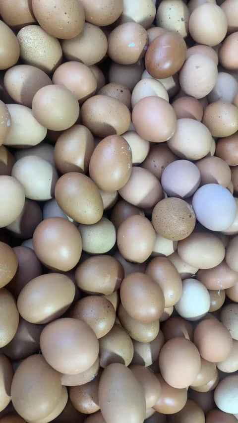 Pile of Fresh Brown Eggs Stock Footage 287995197
