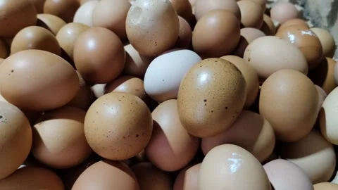 Pile of Fresh Brown Eggs Showcasing Natural Farm Produce Video stock 304313385