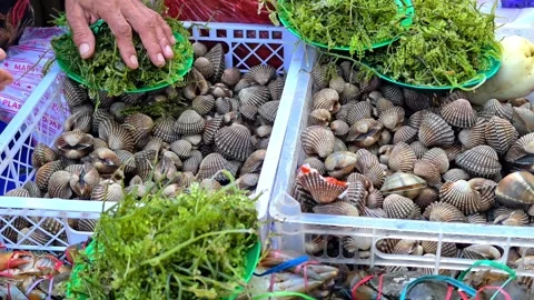 A pile of fresh crabs and shellfish on display at a traditional fish market. Stock Footage 338338630