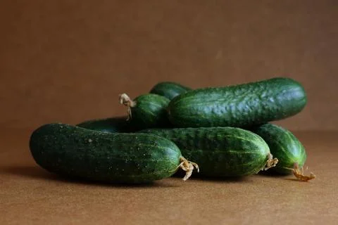 Pile of fresh cucumbers Stock Photos
