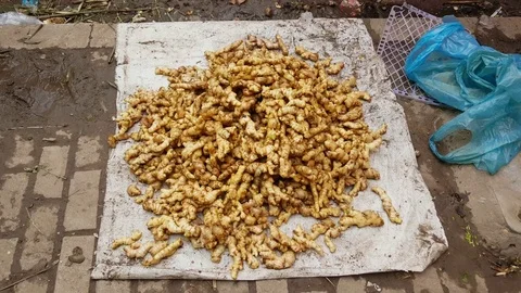Pile of fresh ginger on cloth spread on muddy ground, plastic bag, Vientiane Vídeos de archivo 76921114