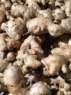 Pile of fresh ginger root Stock Photos