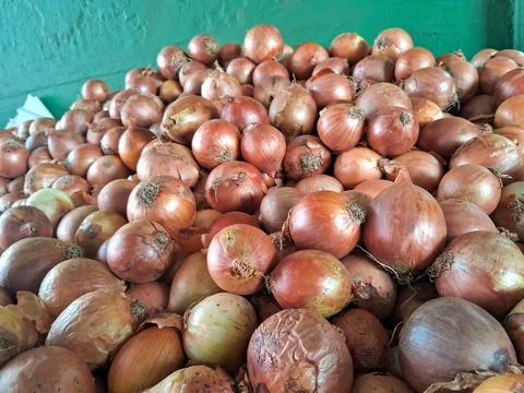 Pile of fresh onions Stock Photos
