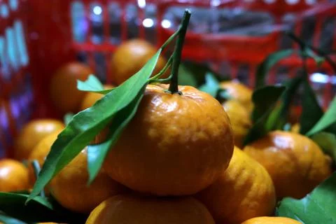 A pile of fresh oranges Stock Photos