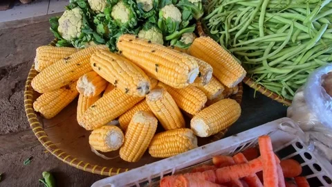 A pile of fresh raw corn on a tray swarmed by flies Stock Footage 325467485