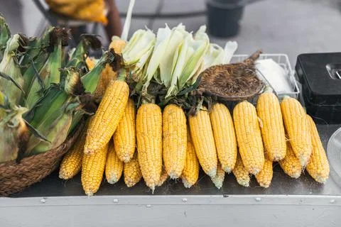 A pile of fresh raw corncobs on the table at a street food stall 스톡 사진