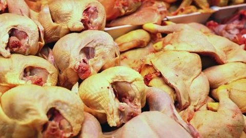 Pile of fresh raw gutted broiler chickens arranged in refrigerated display case Stock Footage 258199643